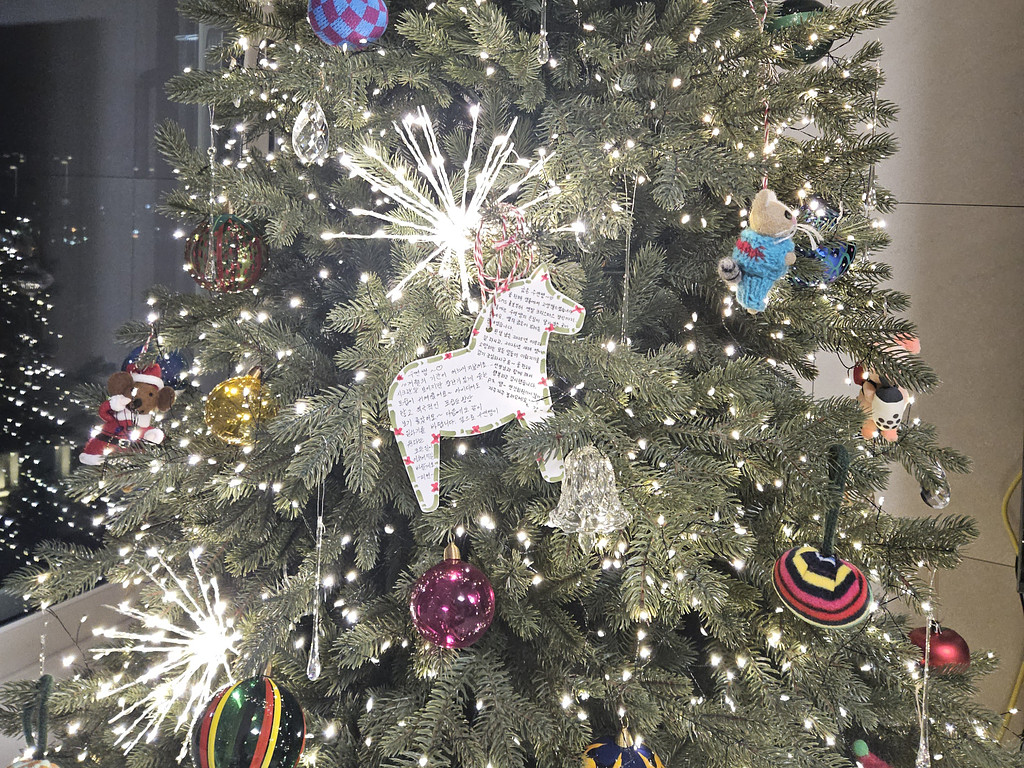 [한해살이소감] 12월이니 마무리 보정 해보아요!의 썸네일 이미지