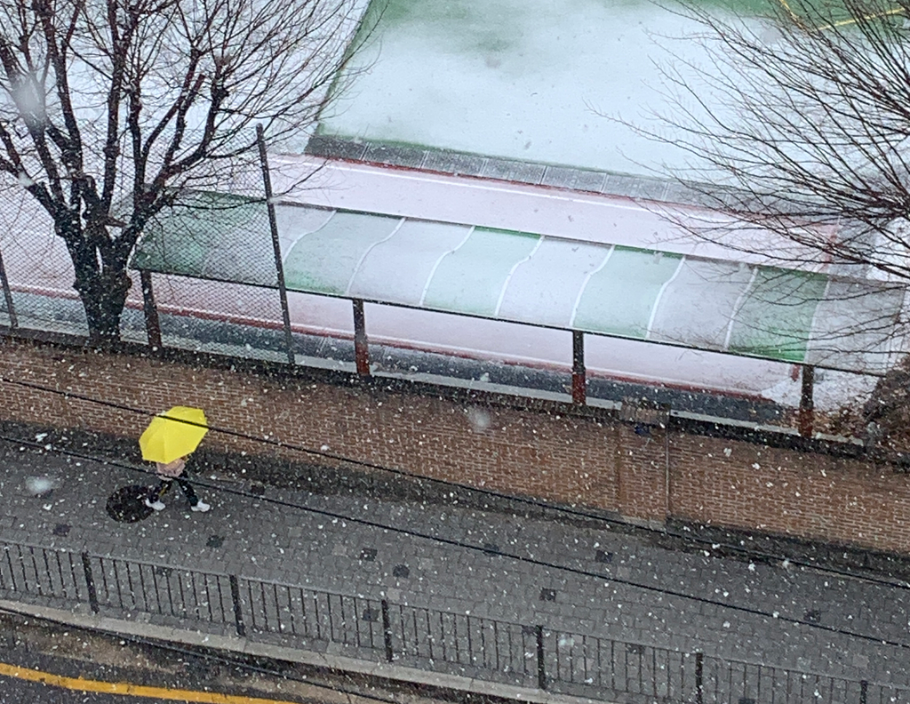 [한해살이소감] 다시 처음을 생각하는 일의 썸네일 이미지