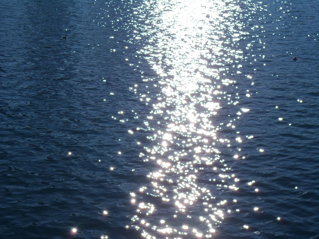 글을 쓰겠다는 결심의 썸네일 이미지