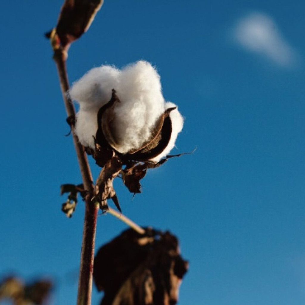🐴 이따금 마지막을 위해 마련된 날들이란, 실재해요의 썸네일 이미지