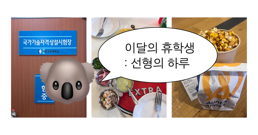 12월의 휴학생 : 선형의 하루🐨의 썸네일 이미지