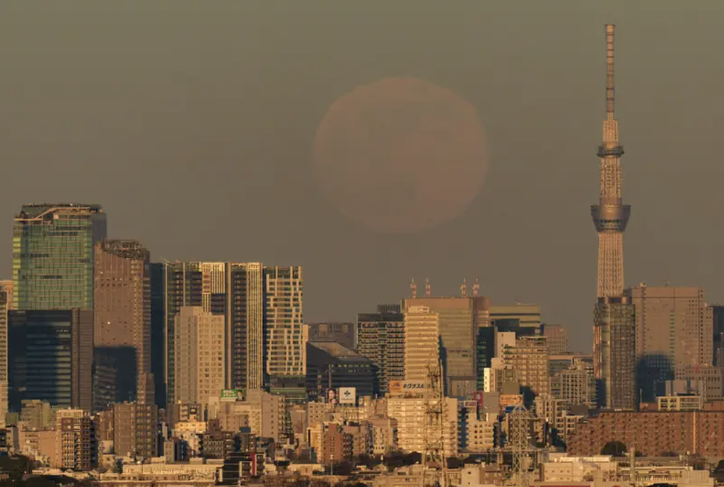 ⚗️ 1월 어느 날의 情景 '몬치치와 아식스와 1천엔 식빵과 별난 이름, 그리고 스노우볼의 썸네일 이미지