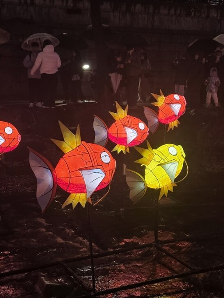 🌽연말연시 잉어킹이 청계천을 점령한 까닭의 썸네일 이미지