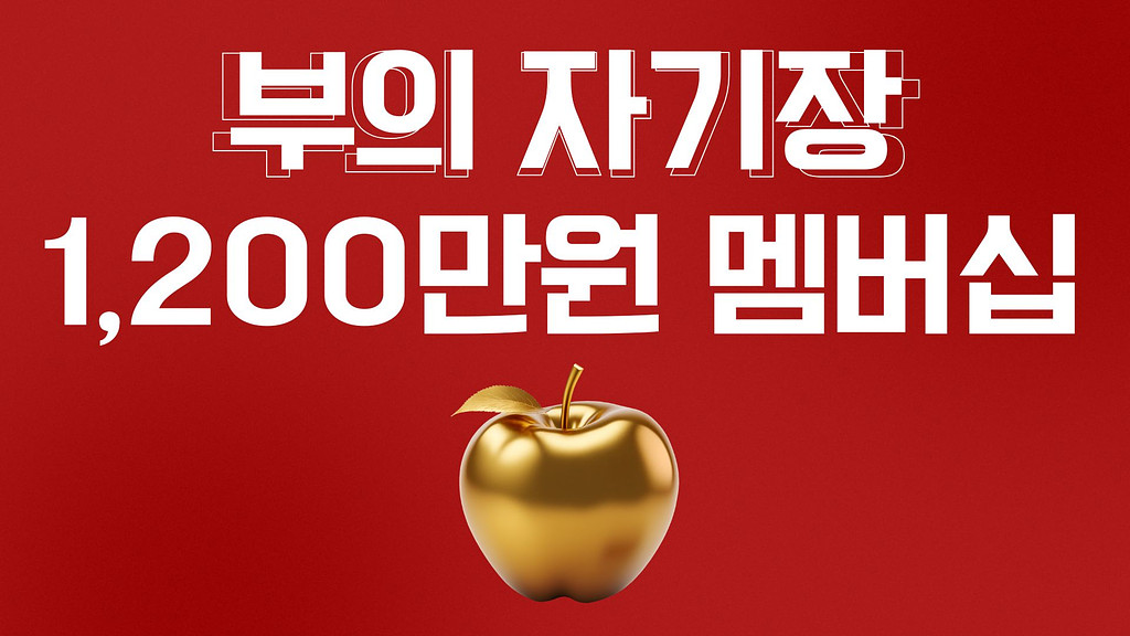 1200만 원 1년 멤버십 한시적 무료로 오픈 합니다.의 썸네일 이미지