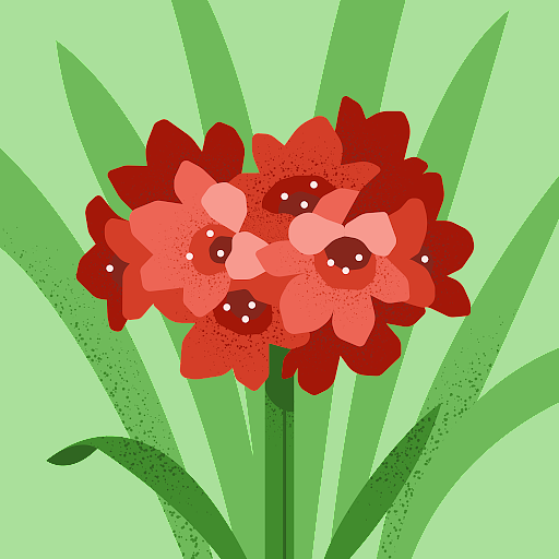 Crew의 프로필 이미지