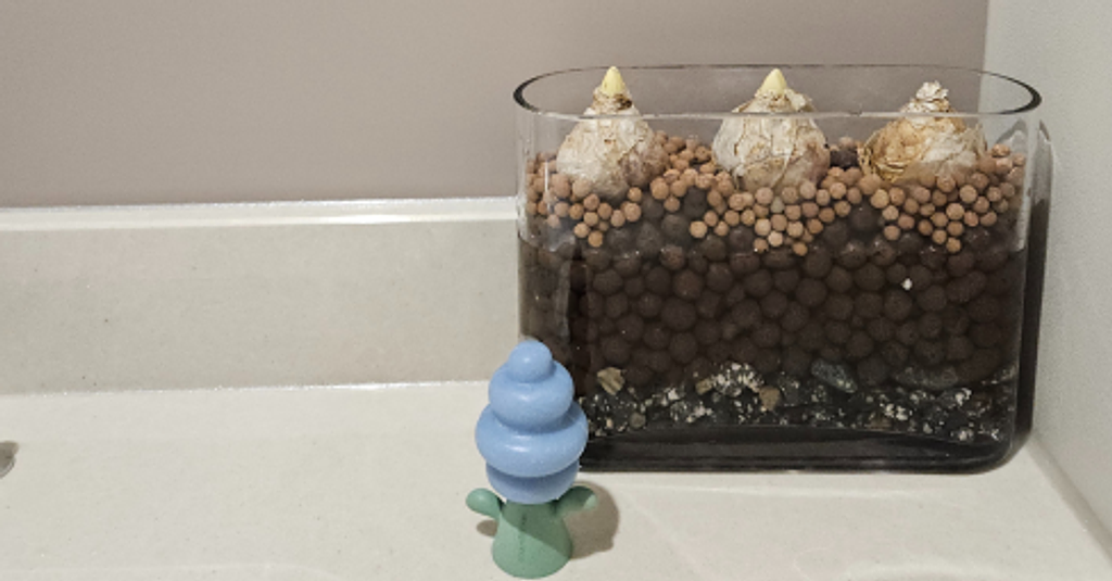 [이 계절 이 식물] 한겨울 미리 맛보는 봄!의 썸네일 이미지