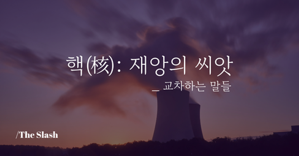 / 핵(核): 재앙의 씨앗의 썸네일 이미지