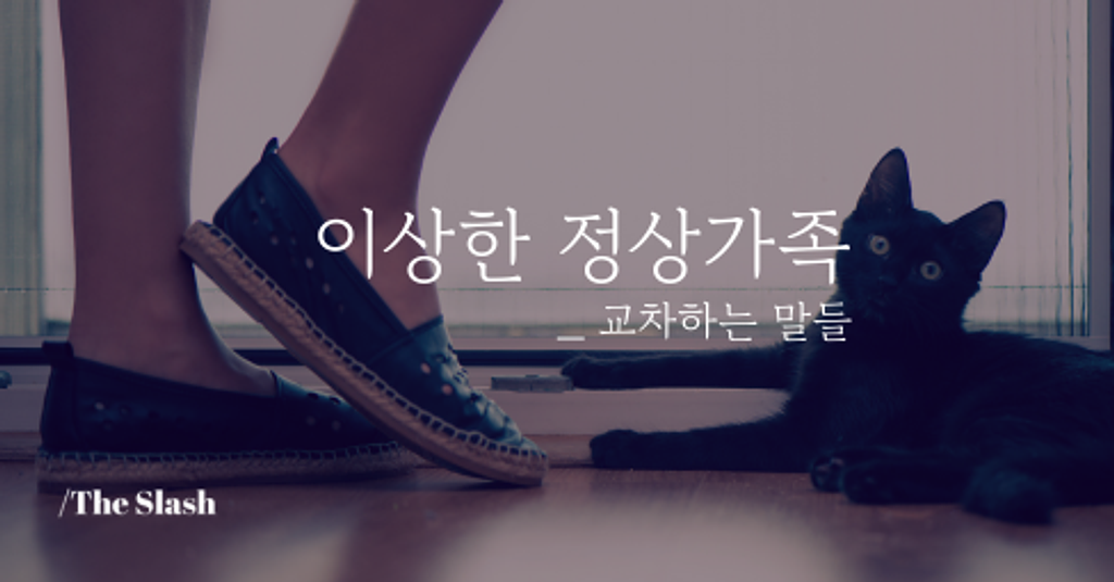 / 이상한 정상가족의 썸네일 이미지