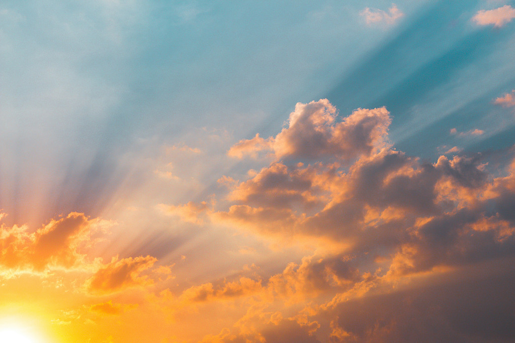 함께의 시간과 혼자의 시간 의 썸네일 이미지