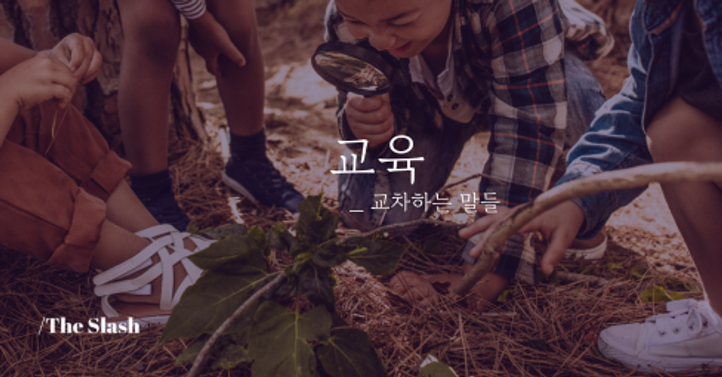 / 교육의 썸네일 이미지