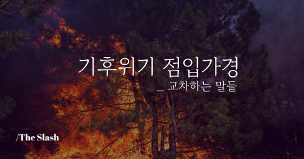 / 기후위기 점입가경의 썸네일 이미지