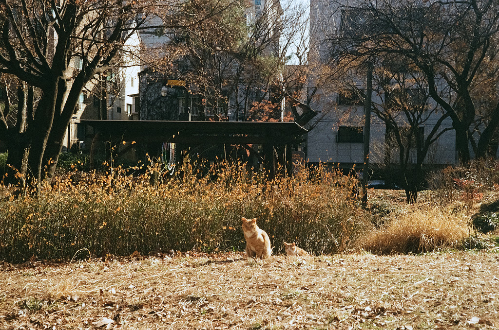 세 번째 편지의 썸네일 이미지