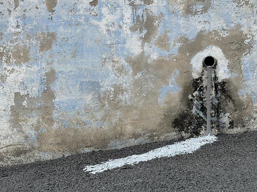 권신경아. 필력서가의 프로필 이미지