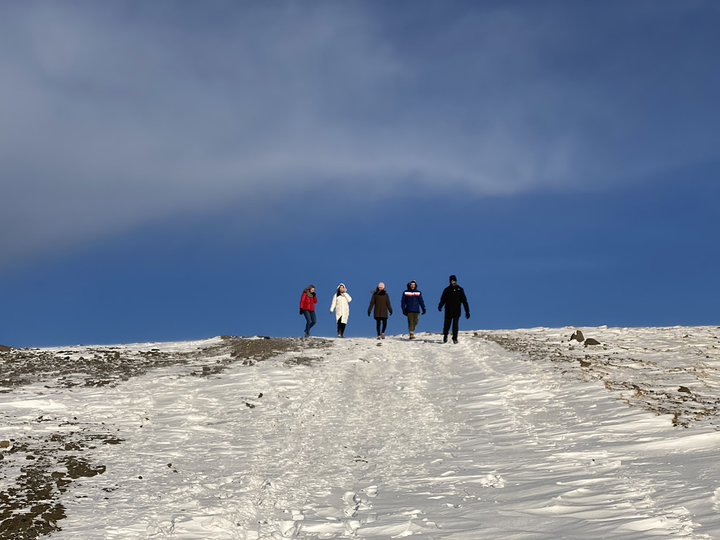 알 수 없는 오로라의 마음의 썸네일 이미지