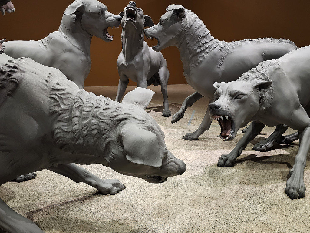 아트: 팽팽하고 날 선, 한없이 연약한의 썸네일 이미지