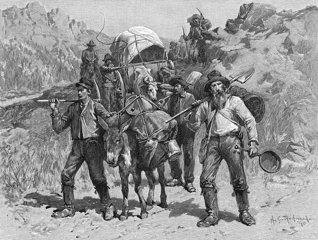 황금의 시대, 돈을 번 건 광부가 아니었다의 썸네일 이미지