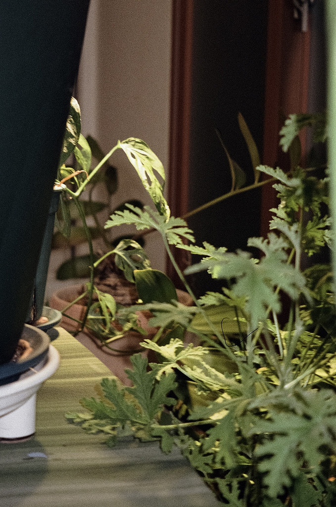 네 번째 편지의 썸네일 이미지