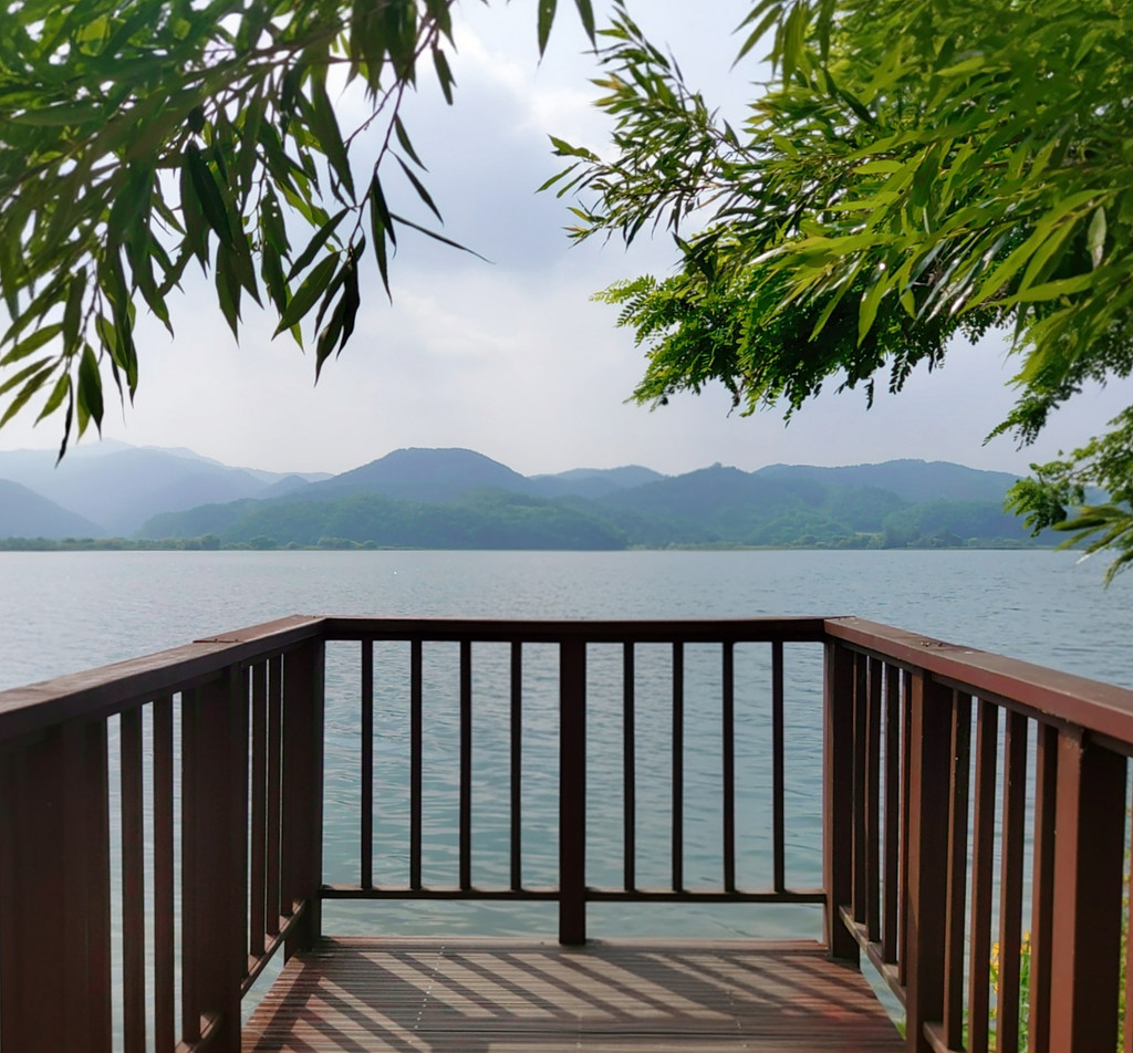 강의 근원에서 만난 가장 순수했던 나의 썸네일 이미지