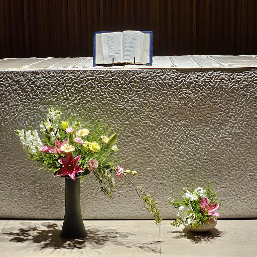 Maria의 프로필 이미지