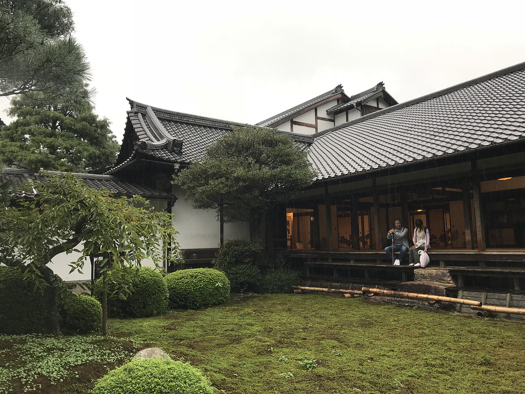 비로 씻기다 - 쇼렌인의 썸네일 이미지