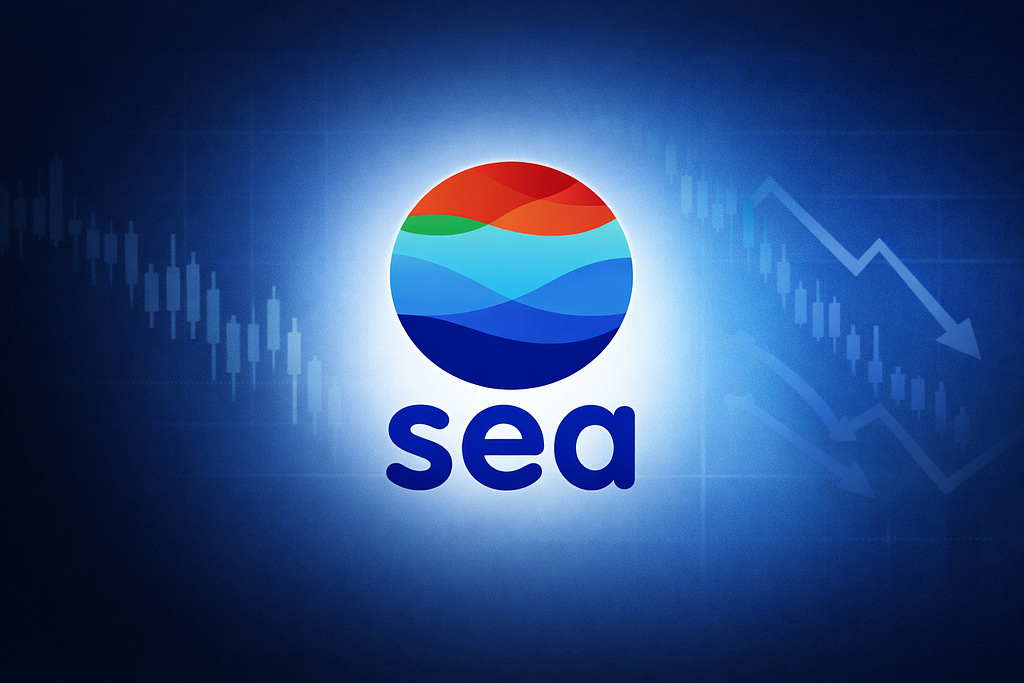 [은호레터]Sea, 외형 성장 이후 남은 진짜 질문의 썸네일 이미지