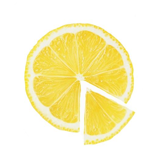 하리 한 조각의 프로필 이미지