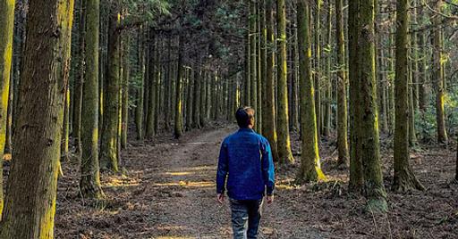 디어 썸머의 프로필 이미지