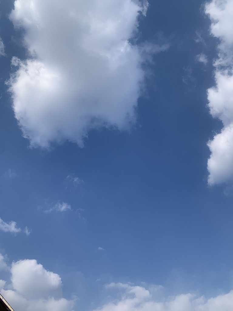 [아마추어와 프로] 엔드 이미지를 생각해 봤어? 의 썸네일 이미지