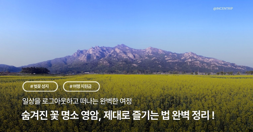 💸 최대 50만원 지원! 인파 대신 고요함이 머무는 꽃 명소 영암 200% 즐기는 법 알려드릴게요!😎의 썸네일 이미지