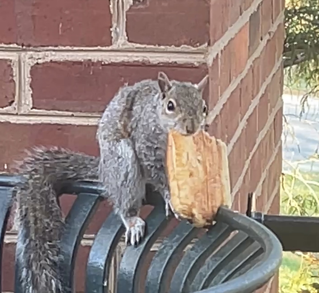 028 - 진짜, 봄이 온다의 썸네일 이미지