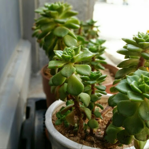 마을의 프로필 이미지