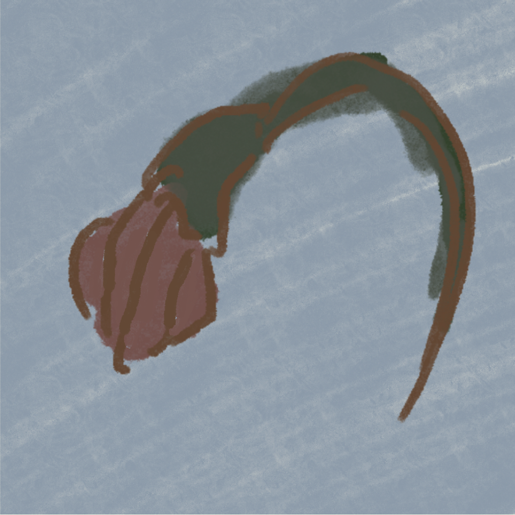 기록편지 4 ㅣ 우리의 어린 할아버지의 썸네일 이미지