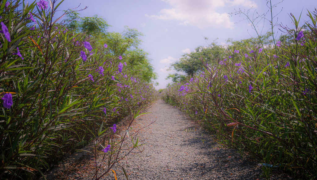 기쁨과 슬픔을 나눌 때 비로소 가족이 된다.의 썸네일 이미지