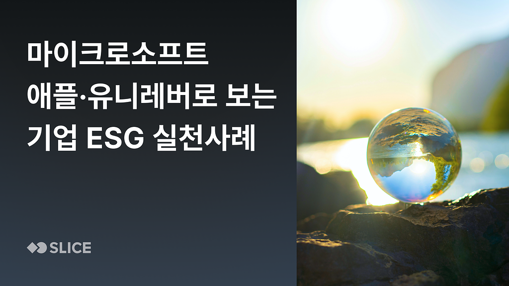 ESG 막막할 때 먼저 보면 좋은 기업 사례 3가지 : 마이크로소프트·유니레버·애플의 썸네일 이미지