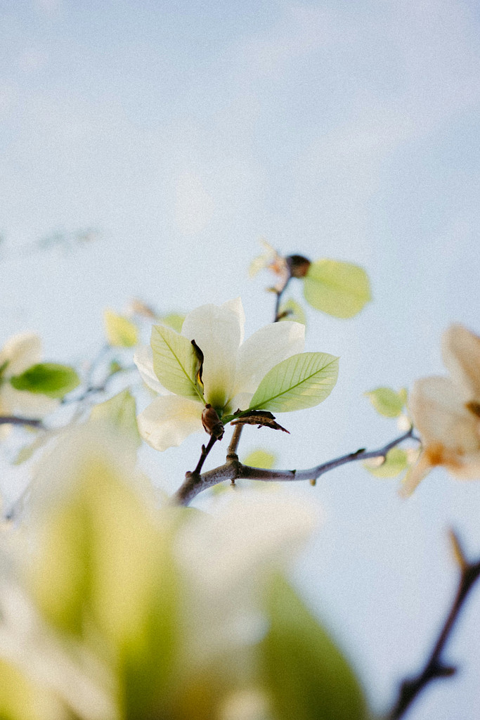 [지온서가: 금요산책] 0호: 산책을 시작하며의 썸네일 이미지