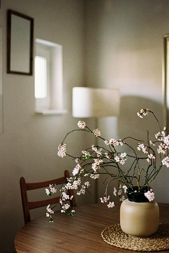 지온서가의 프로필 이미지