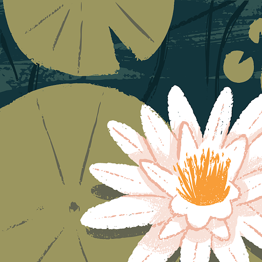 midoriko의 프로필 이미지