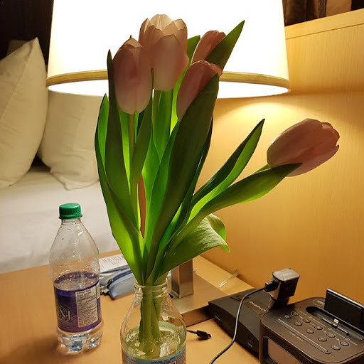 나리의 프로필 이미지