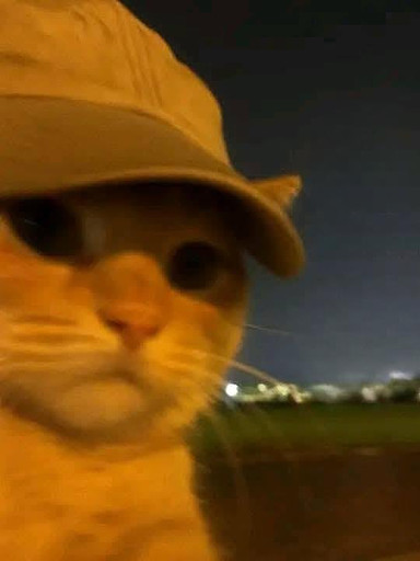 ⠀ ⠀의 프로필 이미지
