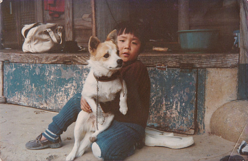 페이퍼모모의 프로필 이미지