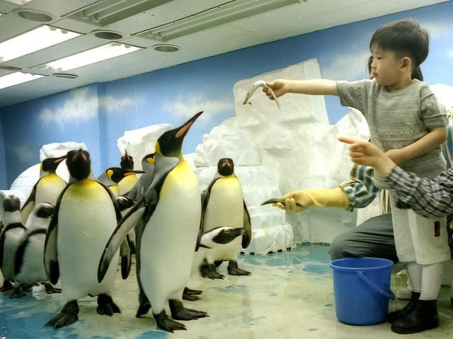 한화호텔앤드리조트
