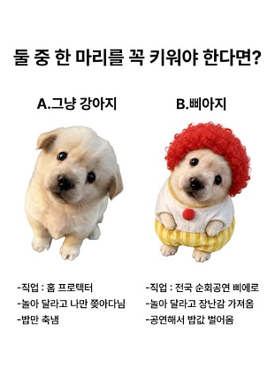 이미지 = 인스타그램 캡처 (https://www.instagram.com/p/DcSOHUazqxO/)