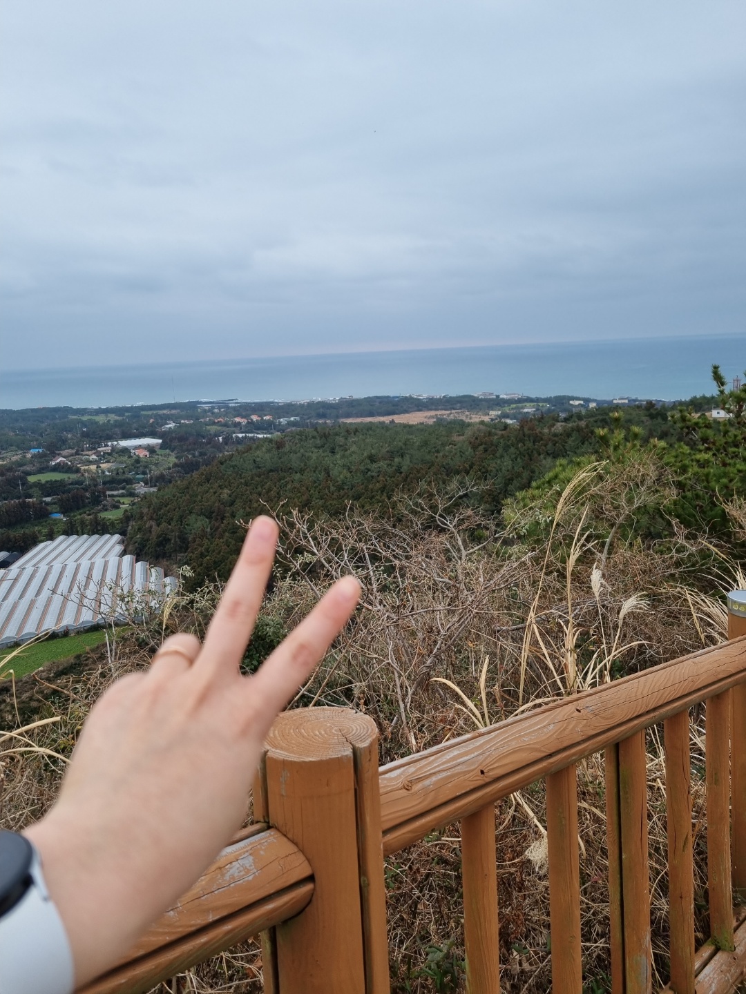 오름 정도는 거뜬하게 올랐다