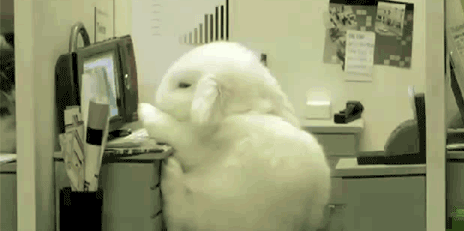 일하기 싫어 기절...