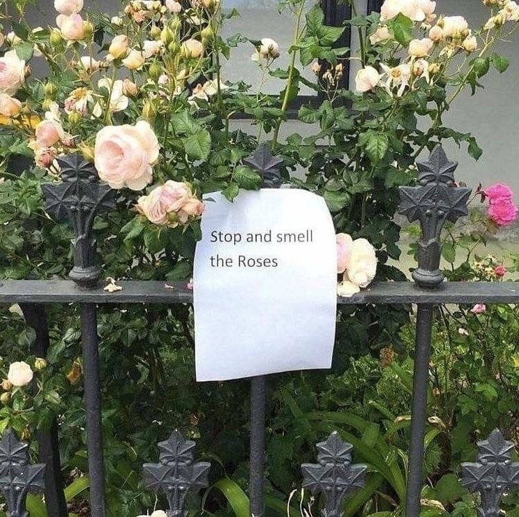 오랜만이에요 , my dearest 모락온의 썸네일 이미지