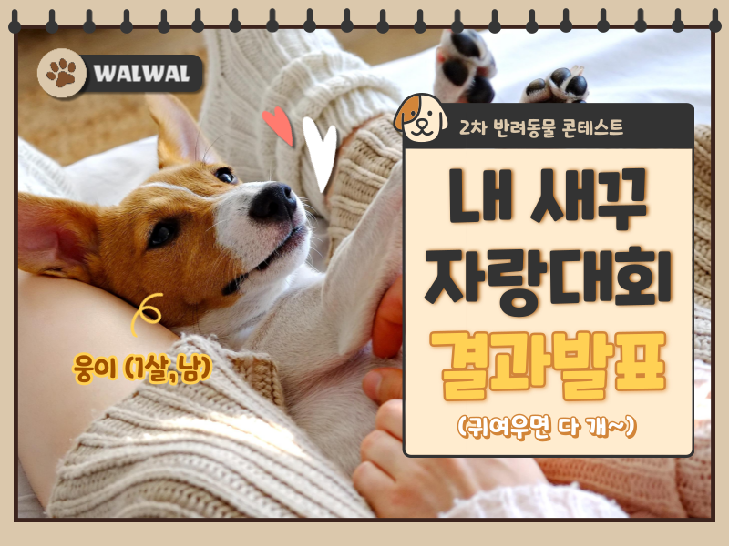 [4월] 반려동물 콘테스트 결과발표의 썸네일 이미지