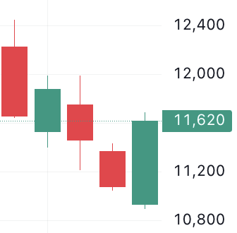 🐬[DOLFIN] 11월 1일 장전 체크리스트의 썸네일 이미지