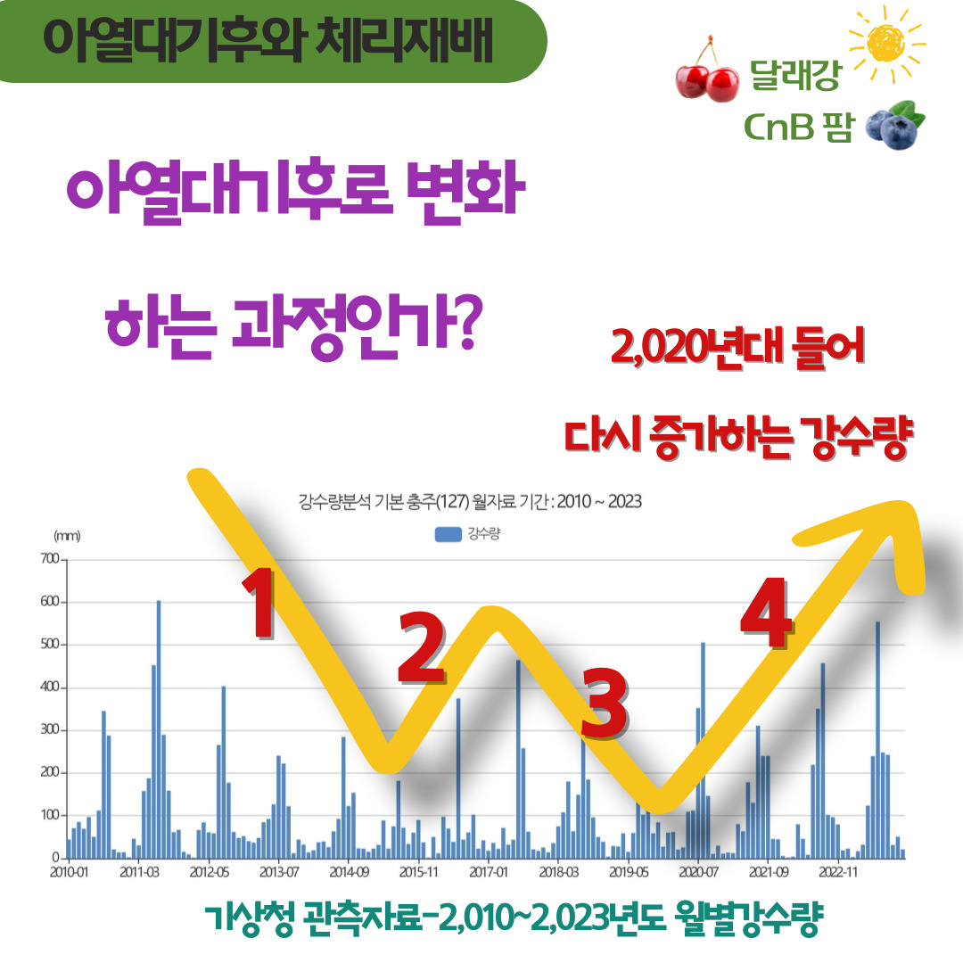 2023 아열대기후, 슈퍼엘리뇨 그리고 체리재배의 썸네일 이미지