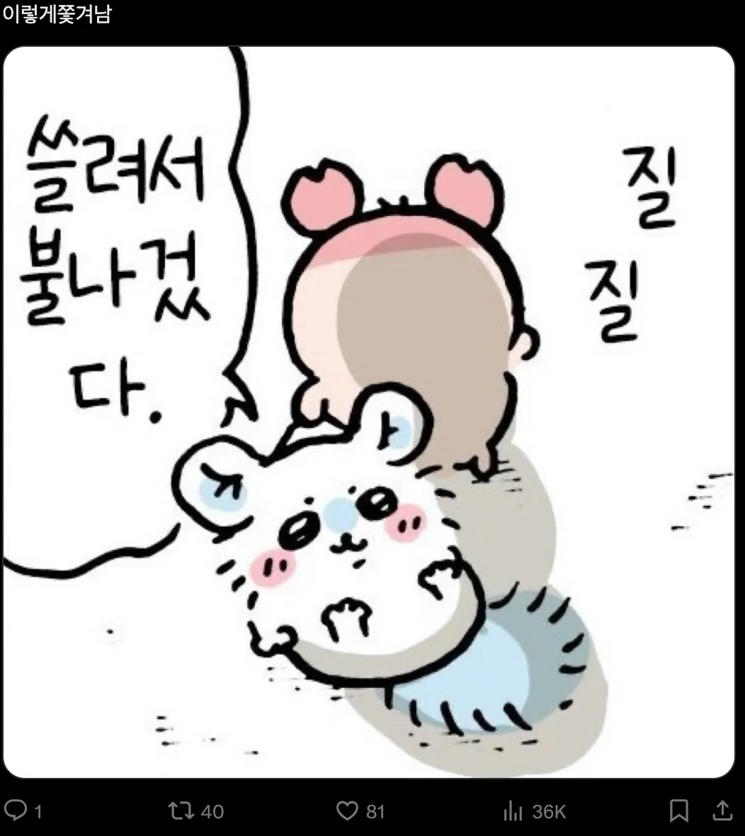 이미지 = X 캡처 (https://x.com/noknokchi/status/1821040444693991566)