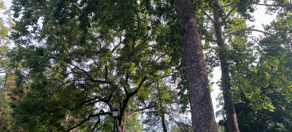 두 번째 편지 - 미지의 삶, 긍정의 힘으로의 썸네일 이미지